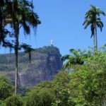 rio botanical garden and tijuca rainforest jeep tour Rio Botanical Garden and Tijuca Rainforest Jeep Tour