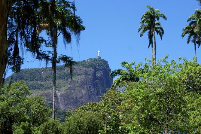 Rio Botanical Garden and Tijuca Rainforest Jeep Tour