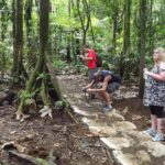rio celeste waterfall sloth encounter tour Rio Celeste Waterfall & Sloth Encounter Tour