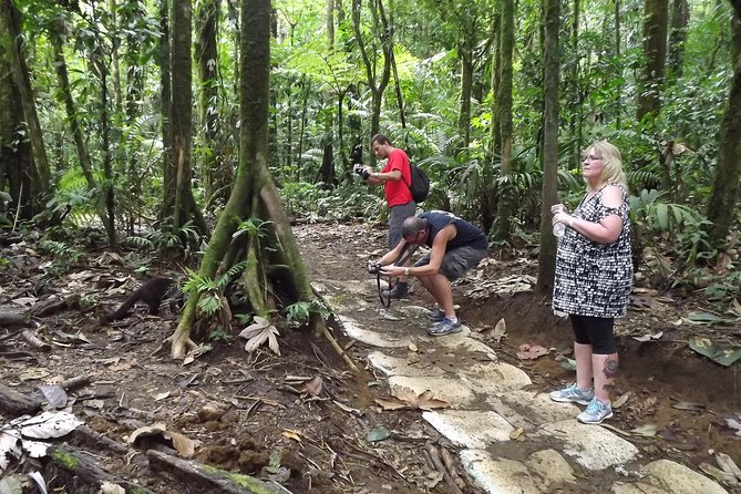 Rio Celeste Waterfall & Sloth Encounter Tour - Tour Highlights