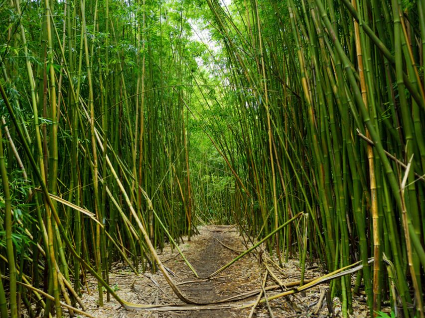 road to hana self guided audio tour Road To Hana: Self-Guided Audio Tour