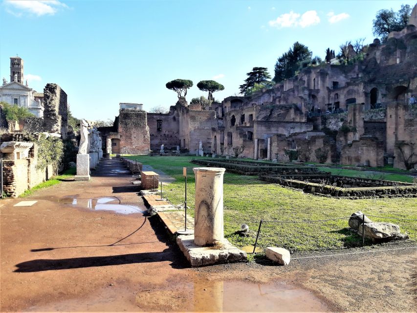 Rome: Vatican, & Colosseum Tours W/Lunch Tkts and Transfers - Key Points