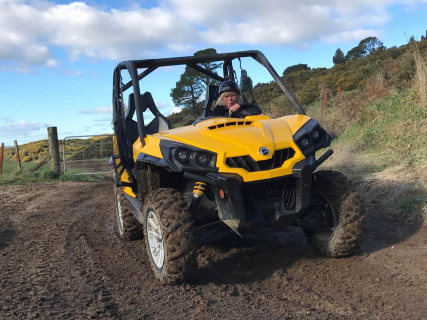 Rotorua: 44 Self Drive Buggy Tour Through Farm and Bushland - Key Points