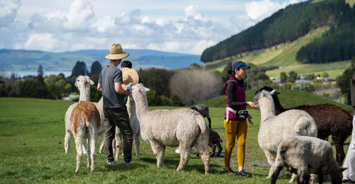 Rotorua: Agrodome Farm Tour With Show and Produce Tasting - Key Points