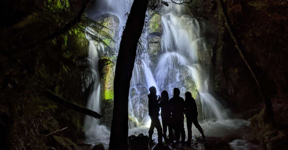 Rotorua: Nocturnal Glow Worm Tour With a Guide - Key Points