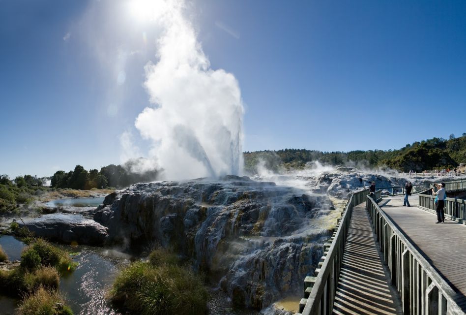rotorua te puia geothermal valley guided tour with tickets Rotorua: Te Puia Geothermal Valley Guided Tour With Tickets