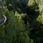 rotorua ultimate guided zipline tour w volcanic cliff walk Rotorua: Ultimate Guided Zipline Tour W/ Volcanic Cliff Walk
