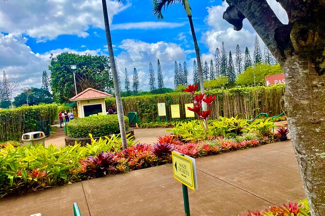 Roundtrip Shuttle From Waikiki to Dole Plantation & Haleiwa Town - Key Points