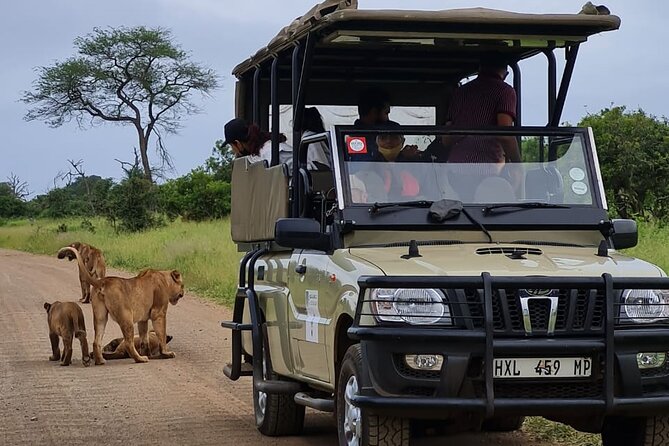 Safari Drive Kruger National Park - Key Points