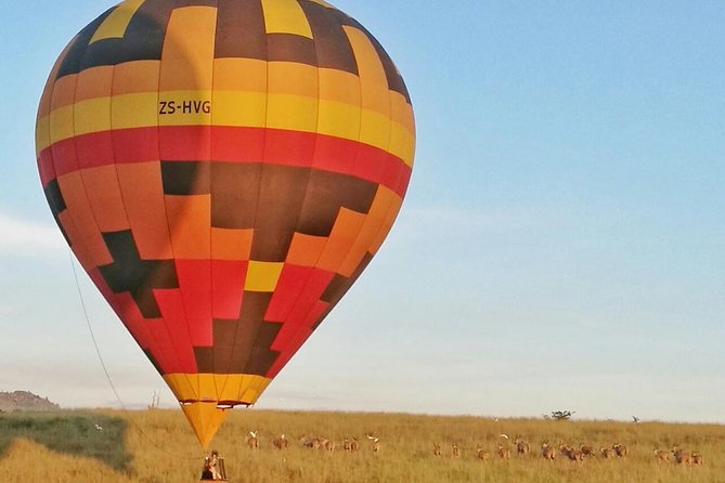 Safari Hot Air Balloon Ride  - Johannesburg - Key Points