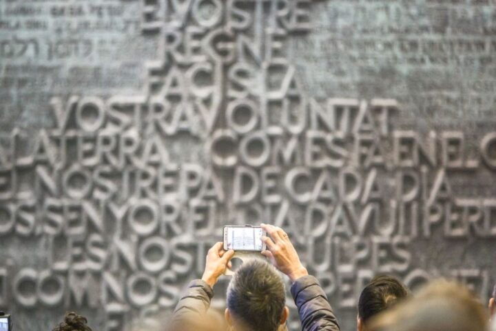 Sagrada Familia With Towers & Park Güell Skip-The-Line Tour - Key Points