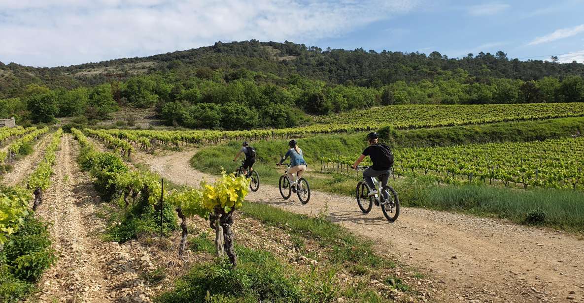 Saint-Martin-dArdèche: Electric Bike Wine Tour & Tasting - Key Points