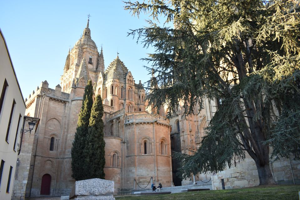 Salamanca: Private Sightseeing & Cultural Walking Tour - Key Points