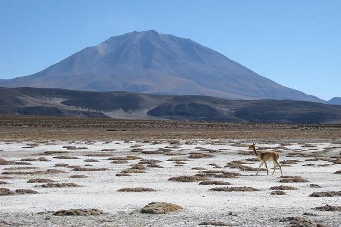 Salar De Uyuni With Lodging – 3 Full Days – With Lagoons