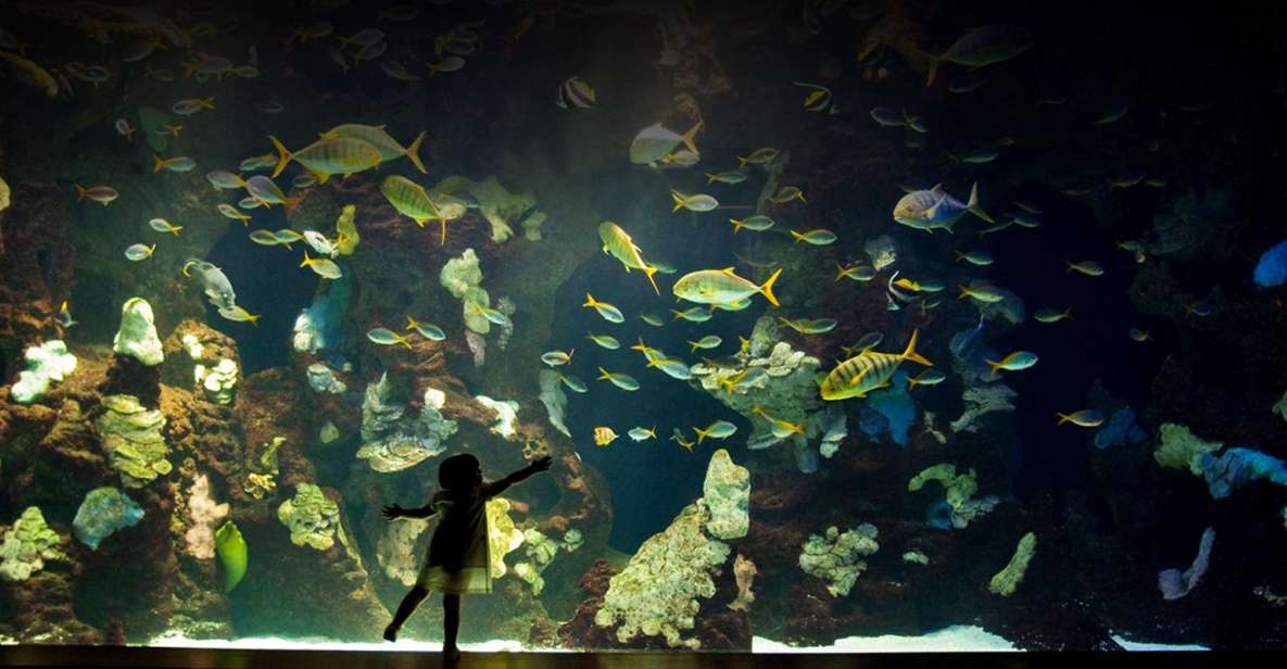 San Sebastian Aquarium Entry Ticket and City Walking Tour - Key Points