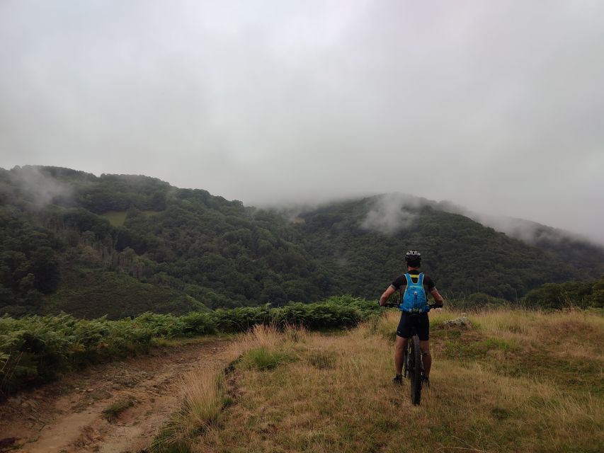 San Sebastian: Mountain Bike Tour With Pintxos and Drink - Key Points