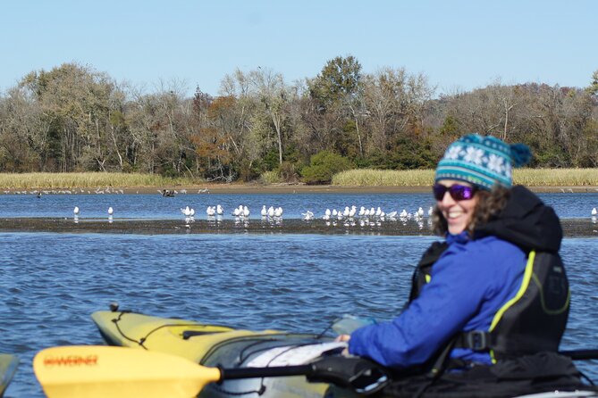 Sandhill Crane Kayak Tour With Chattanooga Guided Adventures - Key Points