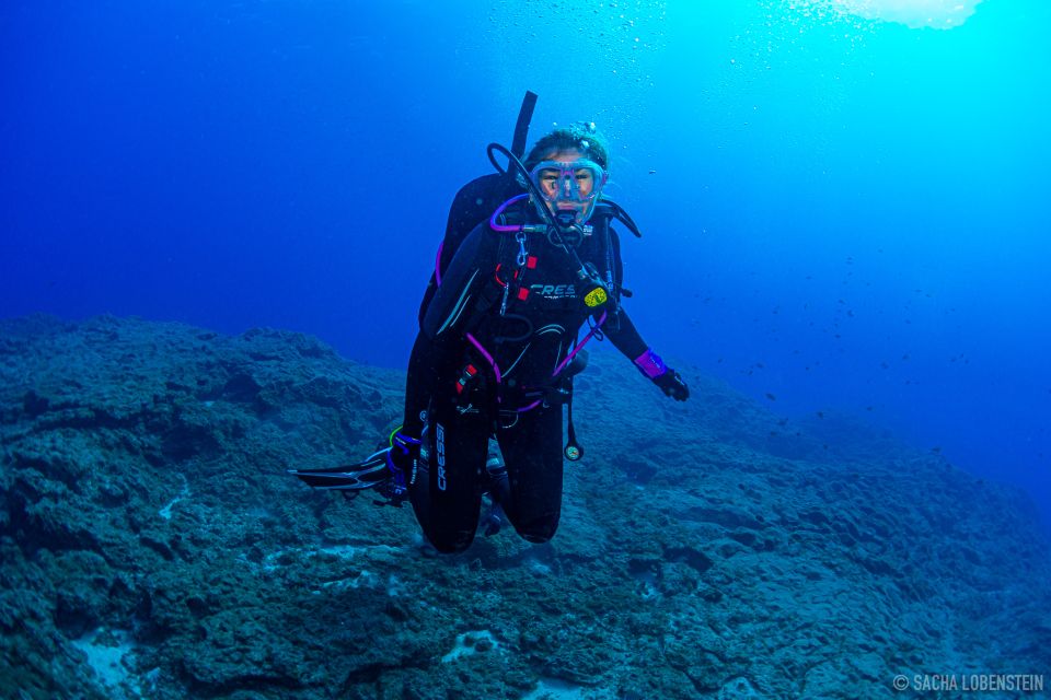 Santa Cruz De Tenerife: Introductory Diving Course & 2 Dives - Key Points