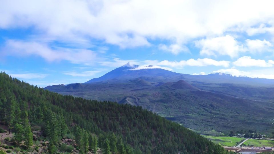 Santiago Del Teide: Masca Enchanted Forest Hiking Tour - Key Points