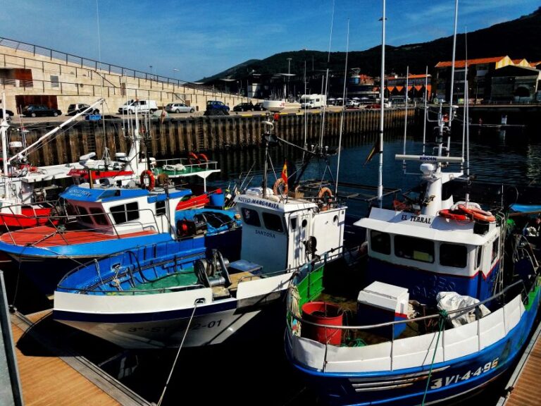 Santoña: Anchovy Factory Tour and Boat Trip