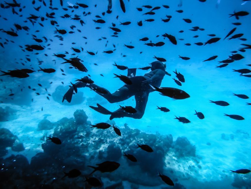 Santorini: Scuba Diving Experience for Beginners - Key Points