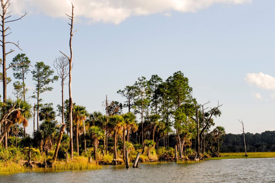 savannah dolphin spotting and wildlife eco cruise Savannah: Dolphin Spotting and Wildlife Eco Cruise