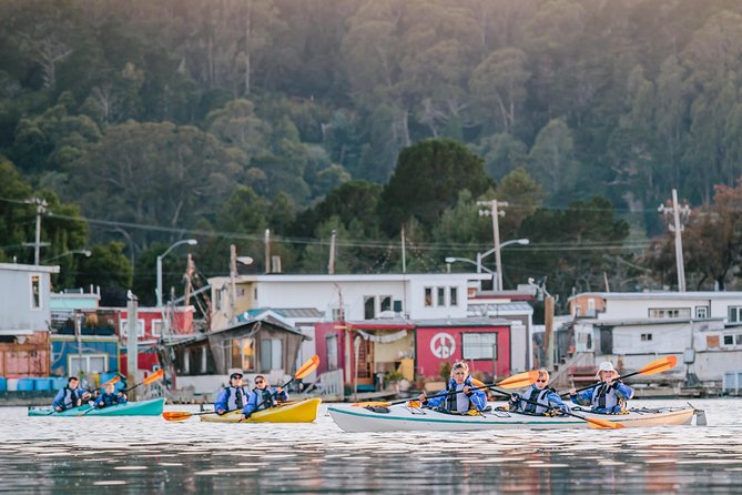 Scenic Sausalito Kayak Tour: Beginners Welcome - Key Points