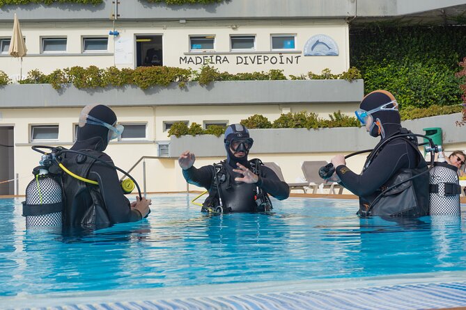 Scuba Diving Experience for Beginners - Dive Center Location and Access