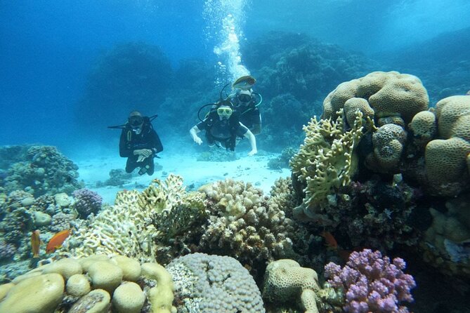 Scuba Diving Experience in Hurghada With Lunch - Key Points