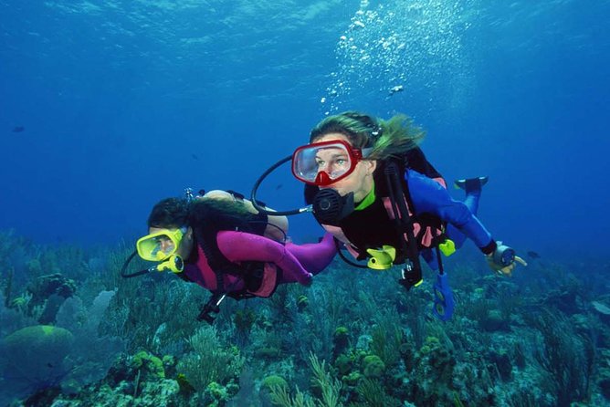 Scuba Diving Tour From Alanya - Side - Antalya - Booking Details