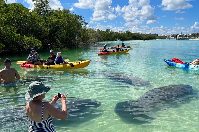 Self-Guided Island Tour - CLEAR or Standard Kayak or Board - Bonita Springs - Key Points