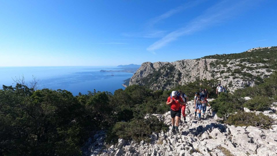 Selvaggio Blu: 5-Day Trekking on the Original Trail - Key Points