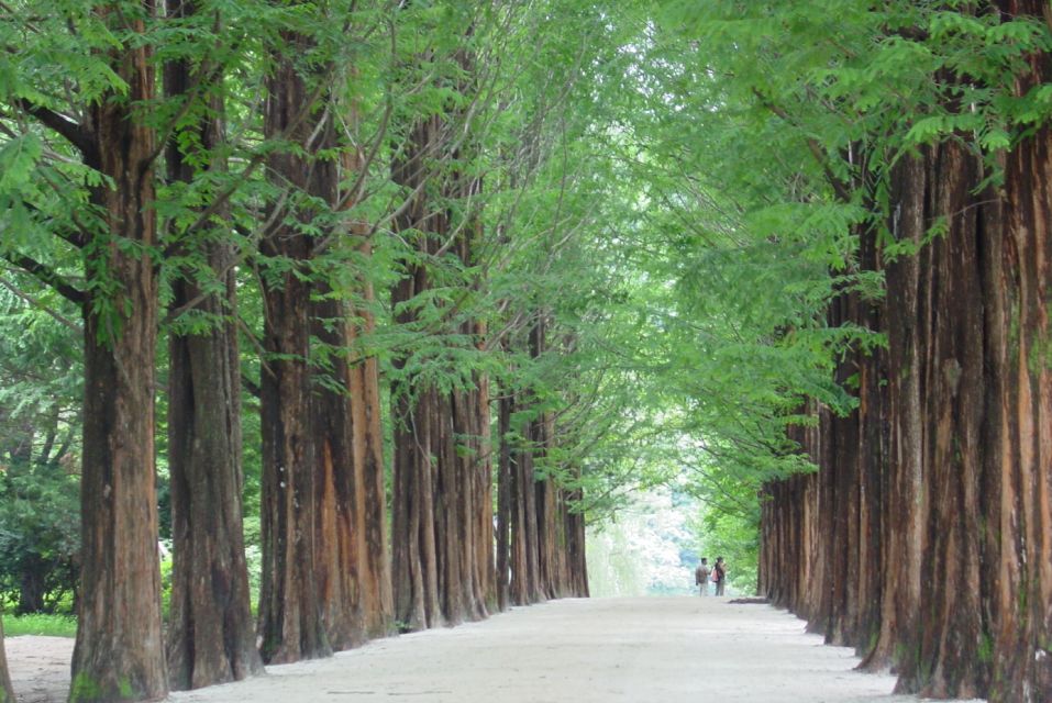 Seoul To/From Nami Island: Round-Trip Shuttle Service - Key Points