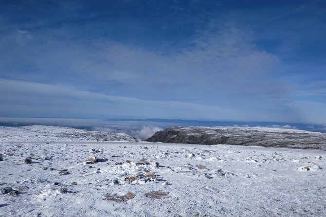 Serra Da Estrela S1 - Tasting of Serra Da Estrela Cheese and Regional Liquors. - Event Overview & Highlights