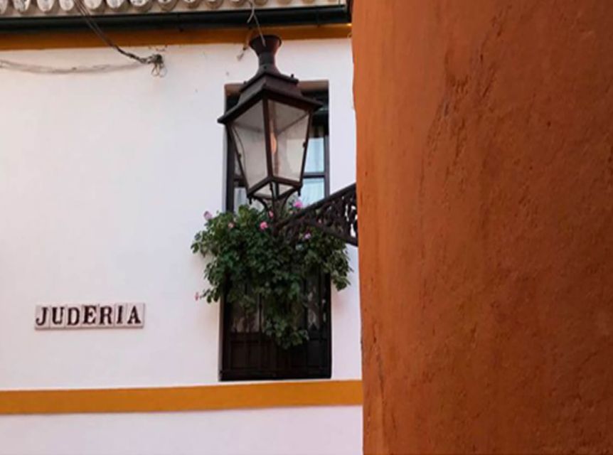 Seville: 1-Hour Walking Tour Barrio De Santa Cruz - Key Points