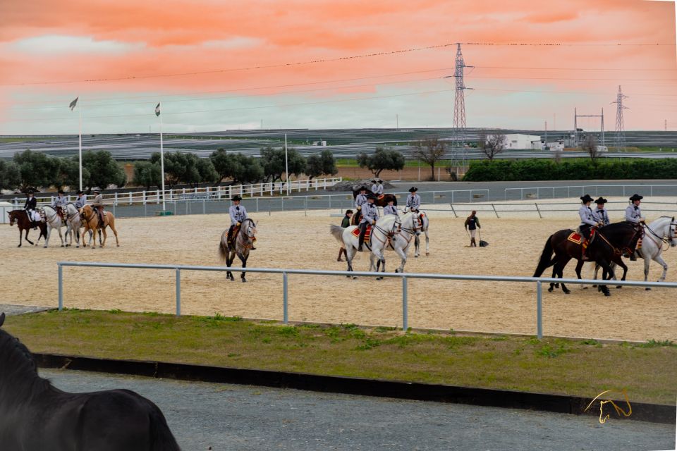 Seville: Horse Show Entry Ticket. Optional Stud Farm Visit - Key Points