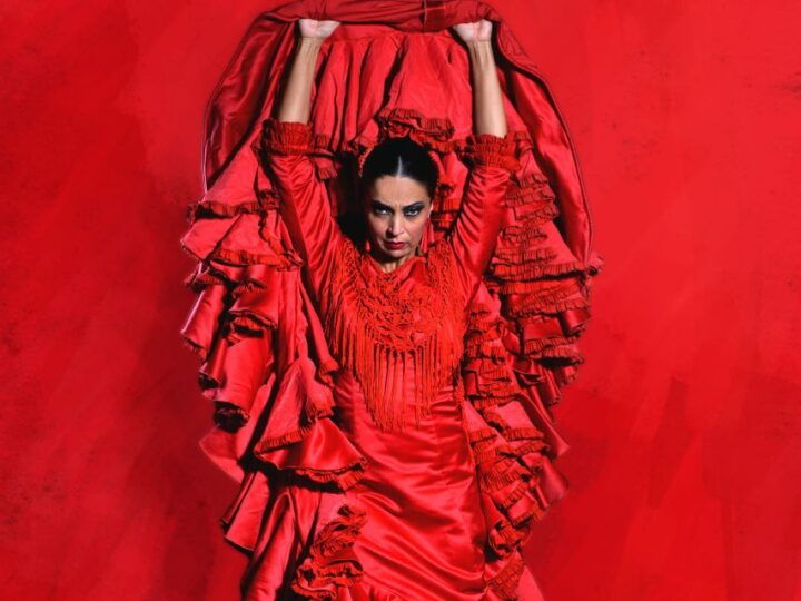 Seville: Live Flamenco Dancing Show Ticket at the Theater - Key Points