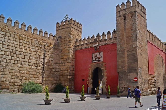 Seville Private Tour: Alcazar, Cathedral, Giralda and Santa Cruz Walking Tour. - Key Points
