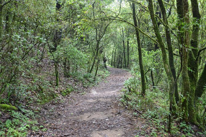 Shivapuri National Park Day Hiking - Budanilkantha, Nagi Gumba, Sundarijal Hike - Key Points