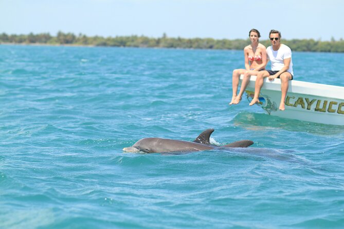 Sian Kaan Full-Day Tour From Tulum With Snorkeling - Key Points