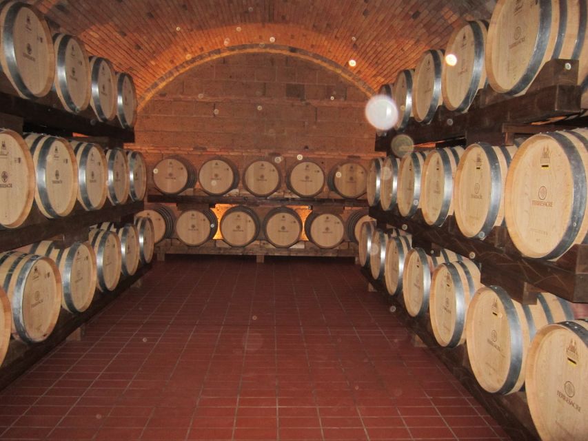 Siena & San Gimignano Day Tour & Wine Tasting From Rome - Key Points