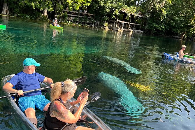 Silver Springs Clear Kayak Wildlife Experience - Key Points