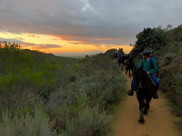 Simondium Evening and Moonlight Wine Horseback Ride  - Stellenbosch - Booking Details and Pricing