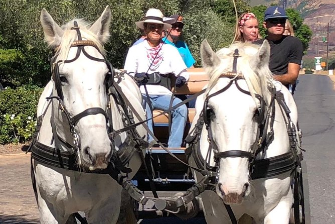 Simondium Horse and Carriage Ride  - Franschhoek - Key Points