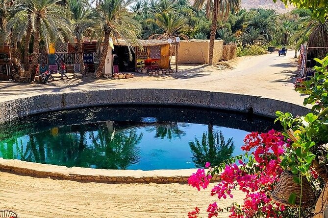 Siwa Oasis Tour All Inclusive 3 Days Experience From Cairo&Giza - Customer Reviews and Recommendations