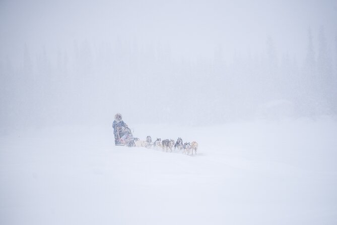 Sled Dog Sampler Ride in Fairbanks - Key Points