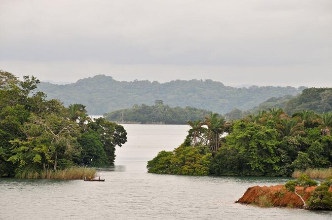Small-Group 3-Hour Tour: Gatun Lake and Monkey Island  - Panama City - Key Points