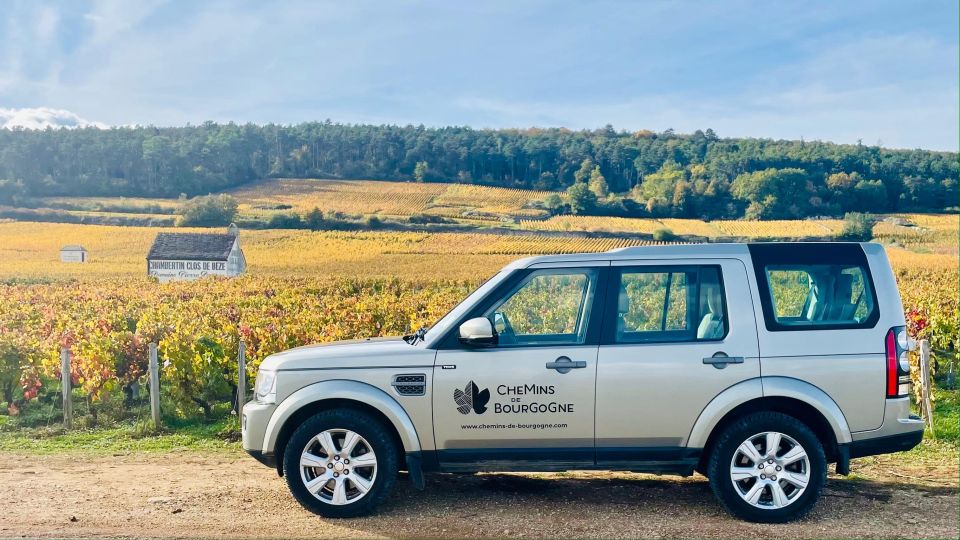 Small Group Full Day Tour in the Burgundy Vineyards - Tour Activity Details