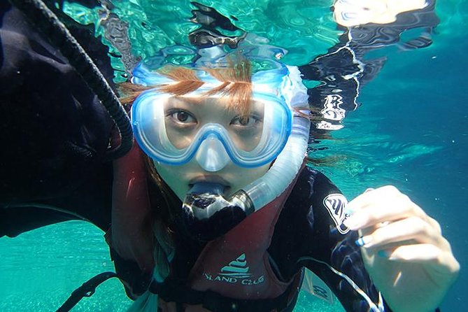 Small-Group Mesoamerican Barrier Reef Snorkeling in Puerto Morelos - Key Points