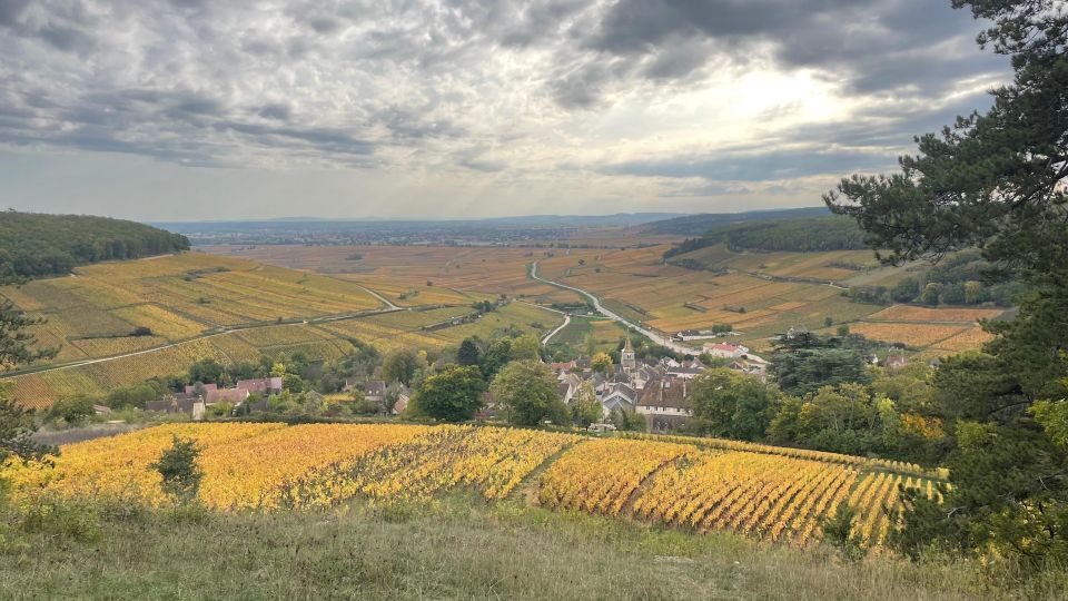 Small Group Tour Morning in Côte De Beaune - Key Points